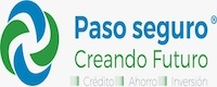 Paso Seguro — Cliente APRI Seguridad